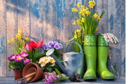 Jak připravit zahradu na jaro 